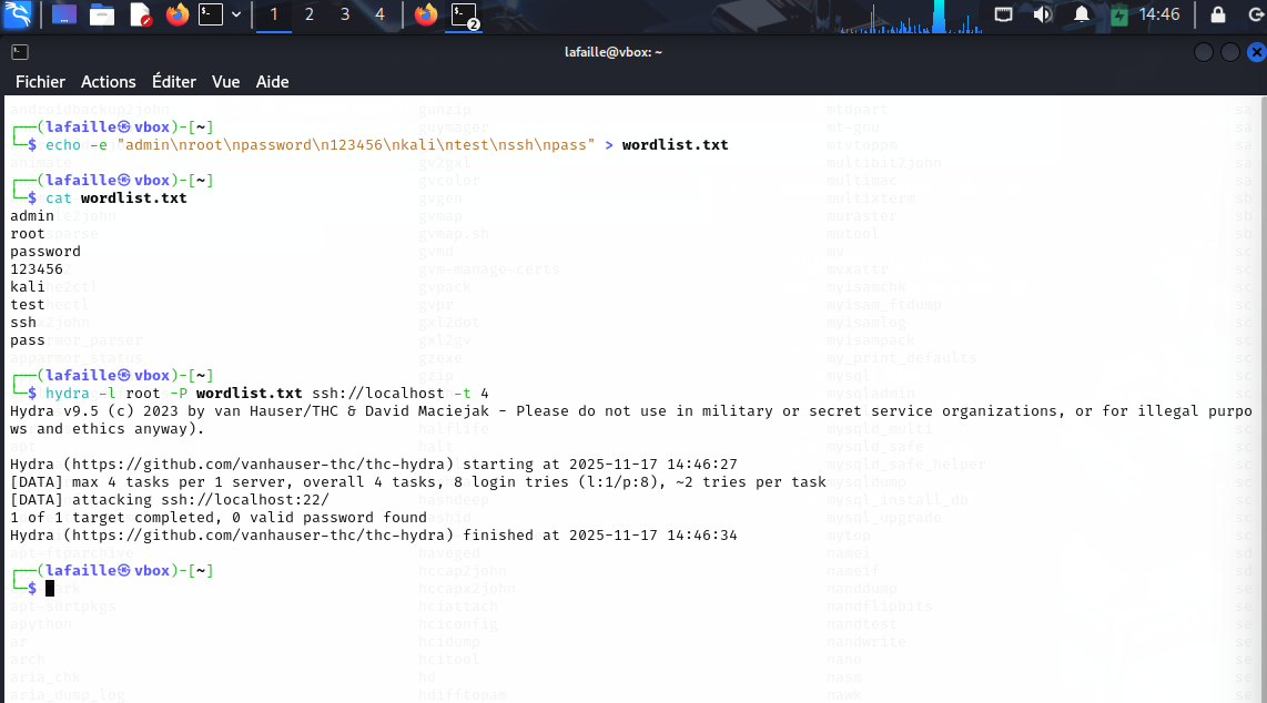 Attaque Hydra en cours